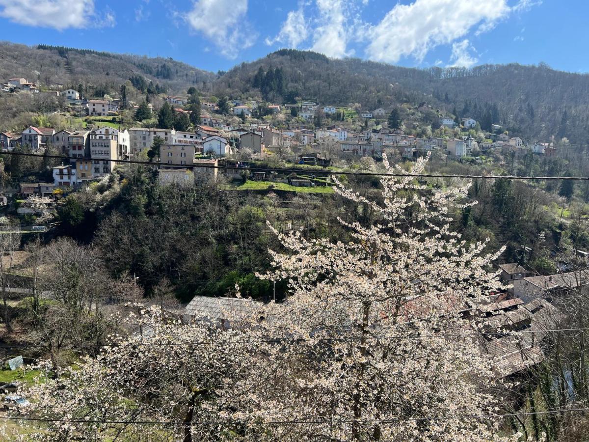 Tabi Appart ,Modern Chic Vs Free Parking,Wifi,Draps Thiers Extérieur photo